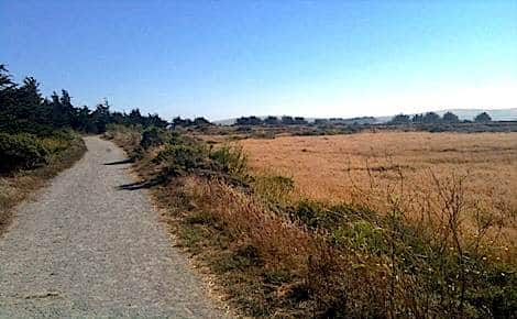 Bird Walk Trail