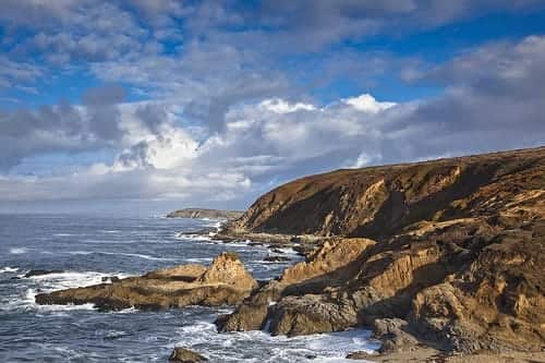 Bodega Head whale watching
