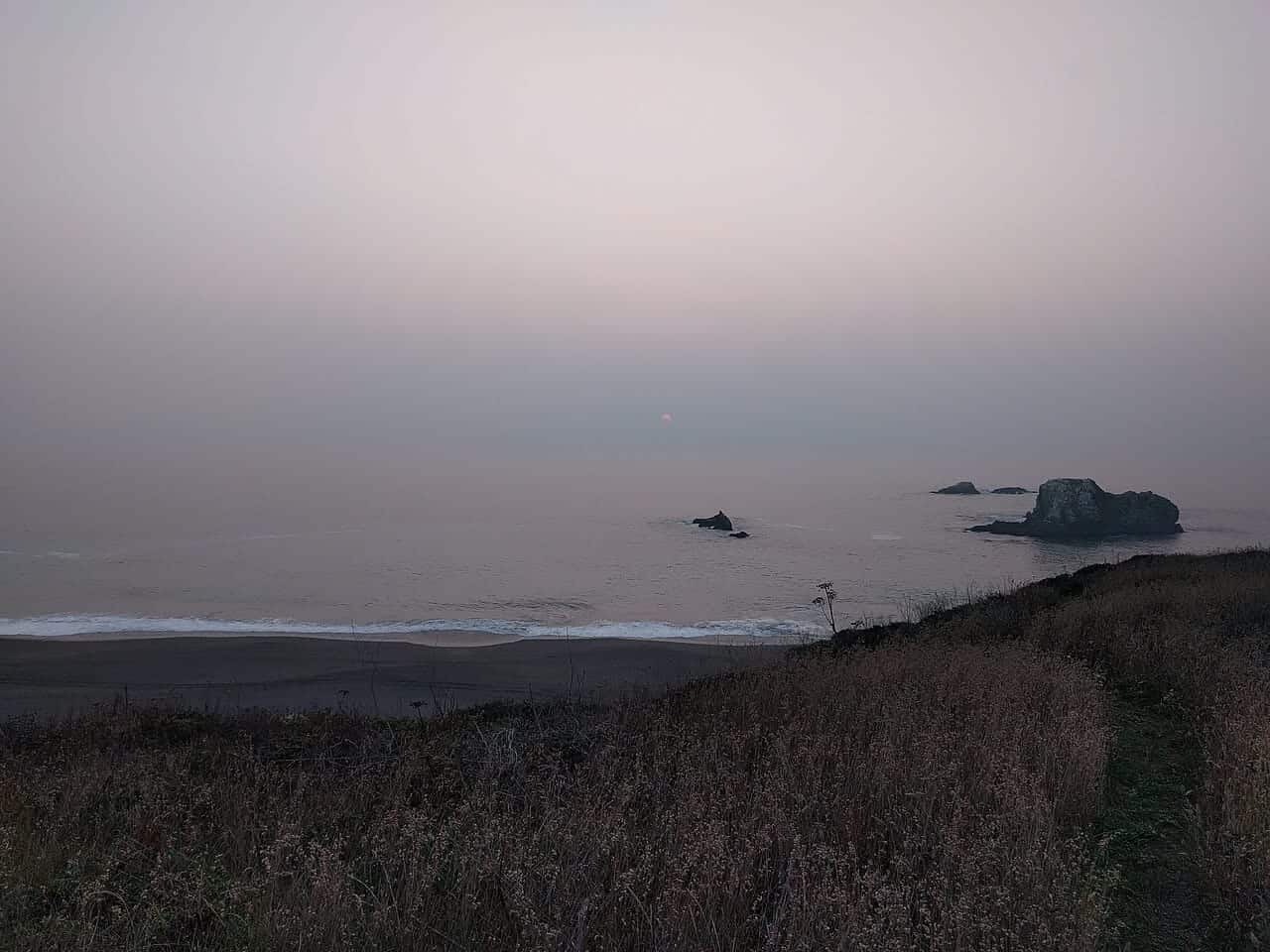 Sonoma Coast State Park